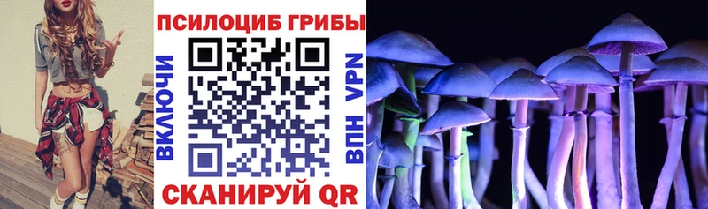 Купить закладки  Томмот  Галлюциногенные грибы мухоморы 