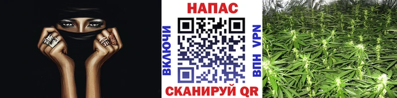 Купить  Томмот  Каннабис планчик 